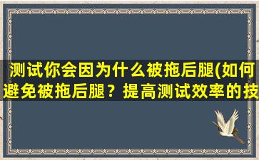 测试你会因为什么被拖后腿(如何避免被拖后腿？提高测试效率的技巧分享！)