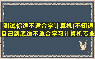 测试你适不适合学计算机(不知道自己到底适不适合学习计算机专业)