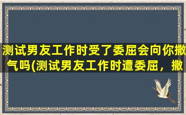 测试男友工作时受了委屈会向你撒气吗(测试男友工作时遭委屈，撒气？向智能百科达人倾诉！)