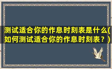 测试适合你的作息时刻表是什么(如何测试适合你的作息时刻表？)