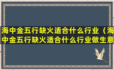 海中金五行缺火适合什么行业（海中金五行缺火适合什么行业做生意）