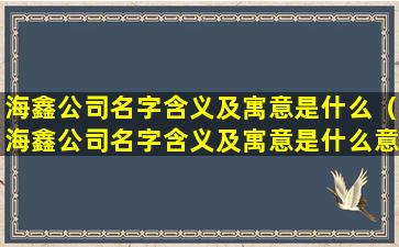 海鑫公司名字含义及寓意是什么（海鑫公司名字含义及寓意是什么意思）