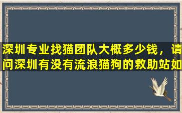 深圳专业找猫团队大概多少钱，请问深圳有没有流浪猫狗的救助站如何联系