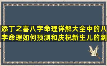 添丁之喜八字命理详解大全中的八字命理如何预测和庆祝新生儿的到来