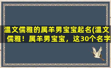 温文儒雅的属羊男宝宝起名(温文儒雅！属羊男宝宝，这30个名字选一个！)