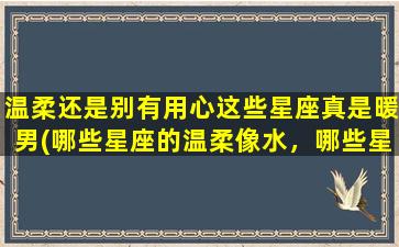 温柔还是别有用心这些星座真是暖男(哪些星座的温柔像水，哪些星座的别有用心让人迷惑？)