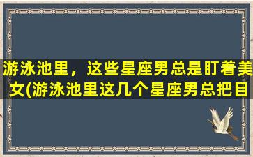 游泳池里，这些星座男总是盯着美女(游泳池里这几个星座男总把目光集中在美女身上)