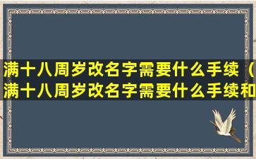 满十八周岁改名字需要什么手续（满十八周岁改名字需要什么手续和*）