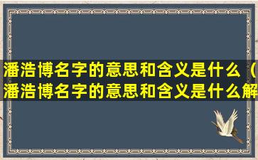 潘浩博名字的意思和含义是什么（潘浩博名字的意思和含义是什么解释）