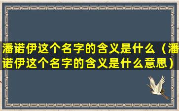 潘诺伊这个名字的含义是什么（潘诺伊这个名字的含义是什么意思）