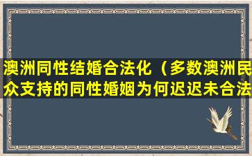 澳洲同性结婚合法化（多数澳洲民众支持的同性婚姻为何迟迟未合法）