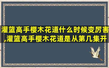 灌篮高手樱木花道什么时候变厉害,灌篮高手樱木花道是从第几集开始变厉害的