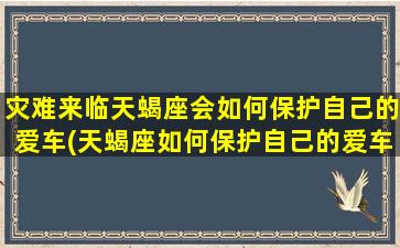 灾难来临天蝎座会如何保护自己的爱车(天蝎座如何保护自己的爱车在灾难中？)