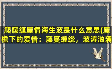 爬藤缠屋情海生波是什么意思(屋檐下的爱情：藤蔓缠绕，波涛汹涌)