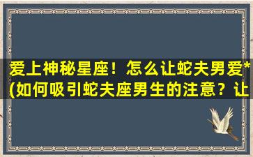 爱上神秘星座！怎么让蛇夫男爱*(如何吸引蛇夫座男生的注意？让你爱上神秘星座！)