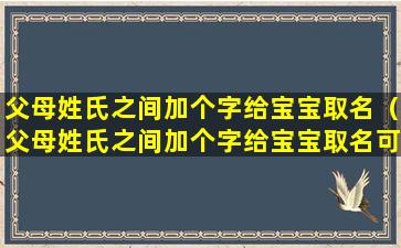 父母姓氏之间加个字给宝宝取名（父母姓氏之间加个字给宝宝取名可以吗）