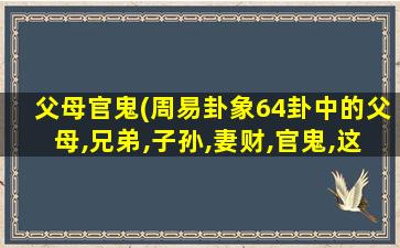 父母官鬼(周易卦象64卦中的父母,兄弟,子孙,妻财,官鬼,这些分别代表什么)