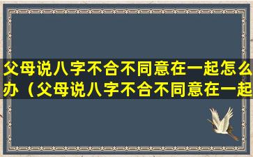 父母说八字不合不同意在一起怎么办（父母说八字不合不同意在一起怎么办呀）