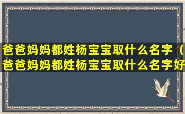 爸爸妈妈都姓杨宝宝取什么名字（爸爸妈妈都姓杨宝宝取什么名字好听）