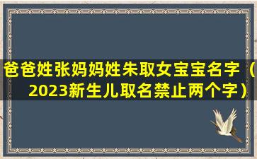 爸爸姓张妈妈姓朱取女宝宝名字（2023新生儿取名禁止两个字）