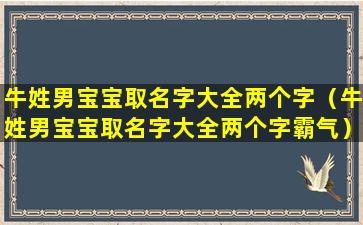 牛姓男宝宝取名字大全两个字（牛姓男宝宝取名字大全两个字霸气）