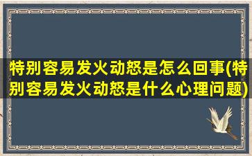 特别容易发火动怒是怎么回事(特别容易发火动怒是什么心理问题)