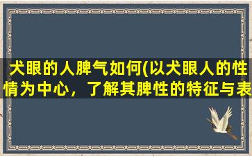 犬眼的人脾气如何(以犬眼人的性情为中心，了解其脾性的特征与表现！)