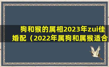 狗和猴的属相2023年zui佳婚配（2022年属狗和属猴适合结婚的吉日大全）