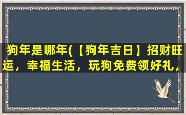 狗年是哪年(【狗年吉日】招财旺运，幸福生活，玩狗免费领好礼，快来参加！)