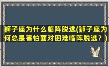 狮子座为什么临阵脱逃(狮子座为何总是害怕面对困难临阵脱逃？)