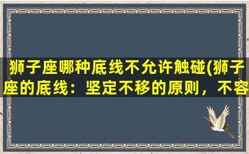 狮子座哪种底线不允许触碰(狮子座的底线：坚定不移的原则，不容触碰)