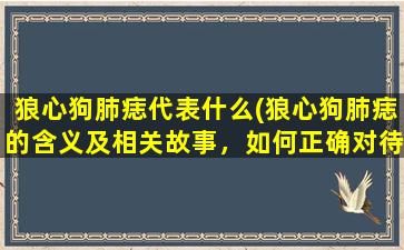 狼心狗肺痣代表什么(狼心狗肺痣的含义及相关故事，如何正确对待狼心狗肺痣？)