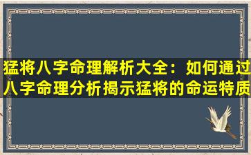 猛将八字命理解析大全：如何通过八字命理分析揭示猛将的命运特质