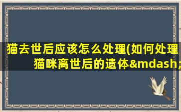 猫去世后应该怎么处理(如何处理猫咪离世后的遗体——合理、安全的处理方法)