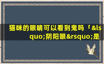 猫咪的眼睛可以看到鬼吗「‘阴阳眼’是什么能看见鬼吗」