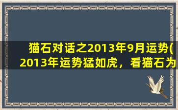 猫石对话之2013年9月运势(2013年运势猛如虎，看猫石为你解奥秘)