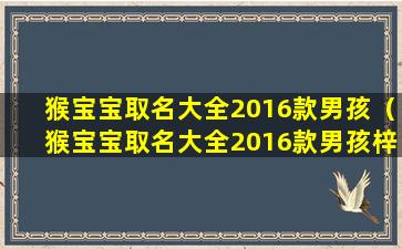 猴宝宝取名大全2016款男孩（猴宝宝取名大全2016款男孩梓硕好不好听）