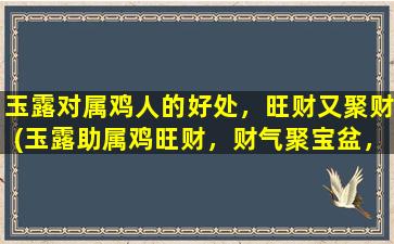 玉露对属鸡人的好处，旺财又聚财(玉露助属鸡旺财，财气聚宝盆，助您财富滚滚来)