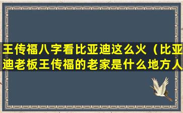 王传福八字看比亚迪这么火（比亚迪老板王传福的老家是什么地方人）