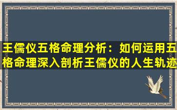 王儒仪五格命理分析：如何运用五格命理深入剖析王儒仪的人生轨迹