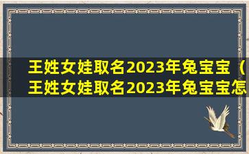 王姓女娃取名2023年兔宝宝（王姓女娃取名2023年兔宝宝怎么取）