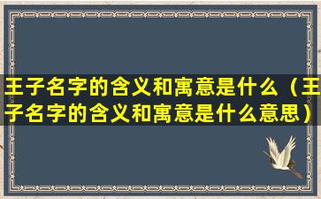 王子名字的含义和寓意是什么（王子名字的含义和寓意是什么意思）