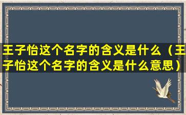 王子怡这个名字的含义是什么（王子怡这个名字的含义是什么意思）