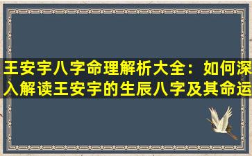 王安宇八字命理解析大全：如何深入解读王安宇的生辰八字及其命运影响