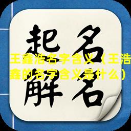 王鑫浩名字含义（王浩鑫的名字含义是什么）