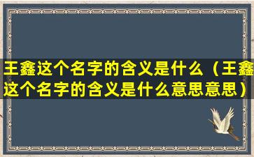 王鑫这个名字的含义是什么（王鑫这个名字的含义是什么意思意思）