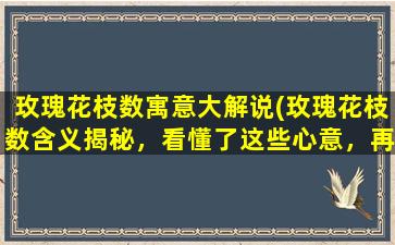 玫瑰花枝数寓意大解说(玫瑰花枝数含义揭秘，看懂了这些心意，再送玫瑰才有意义！)