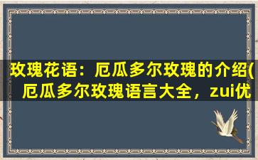 玫瑰花语：厄瓜多尔玫瑰的介绍(厄瓜多尔玫瑰语言大全，zui优美的花语解析！)