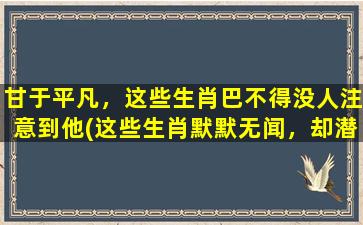 甘于平凡，这些生肖巴不得没人注意到他(这些生肖默默无闻，却潜藏着无穷潜力！)