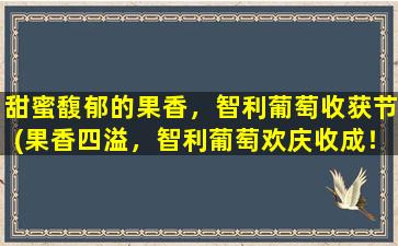 甜蜜馥郁的果香，智利葡萄收获节(果香四溢，智利葡萄欢庆收成！)